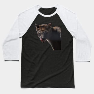 Fossa Baseball T-Shirt